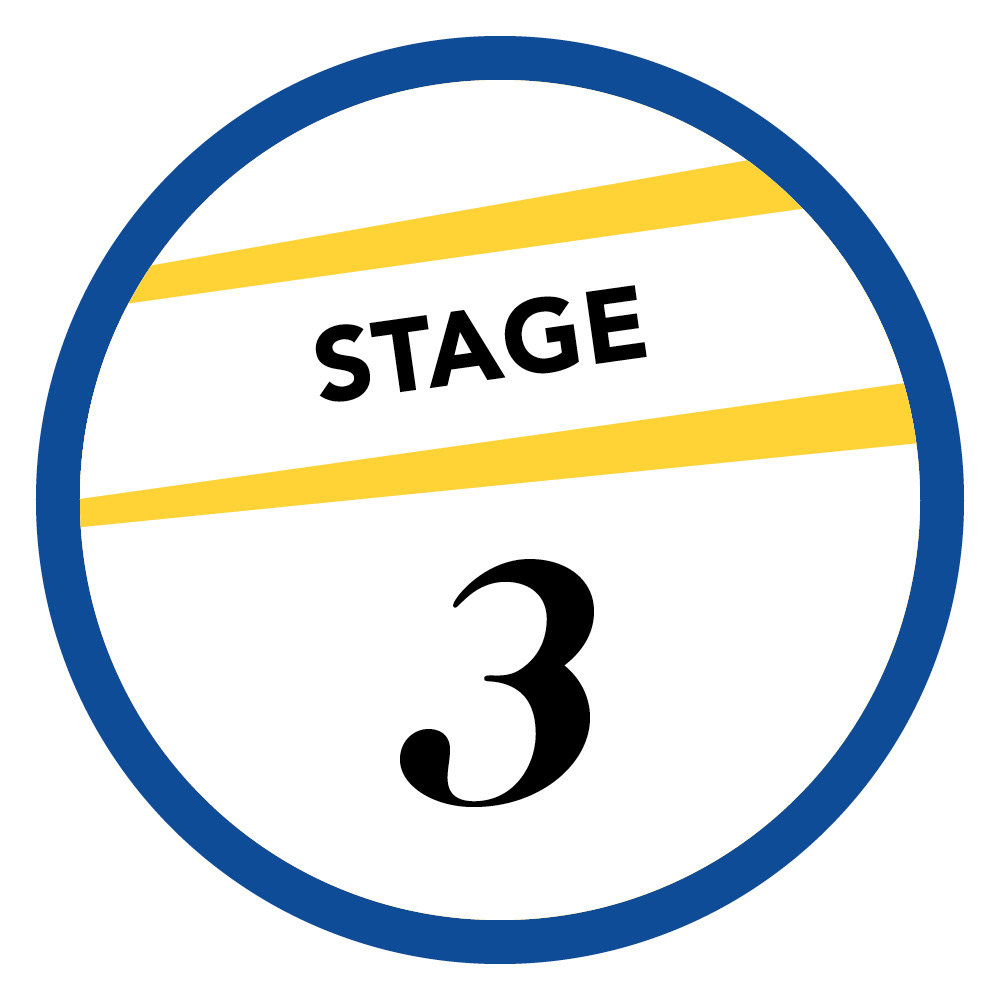 Stage 3
